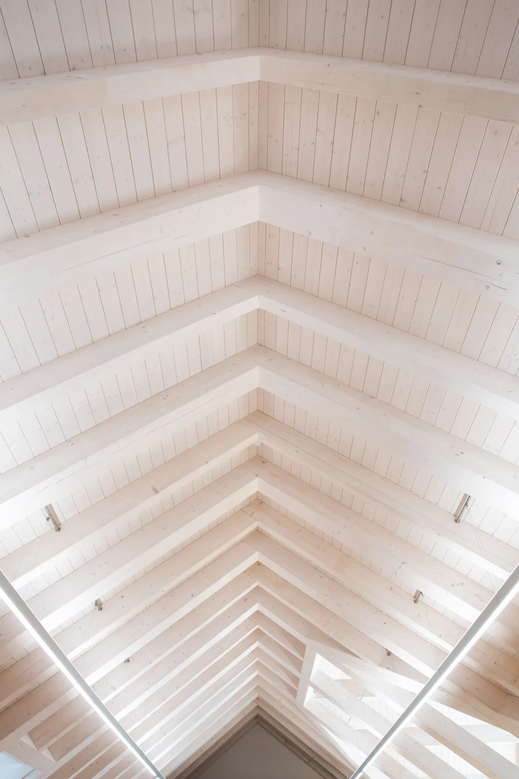 Ein Bild zur Veranschaulichung