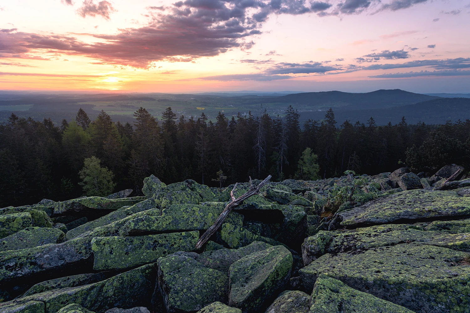 Ein Bild zur Veranschaulichung