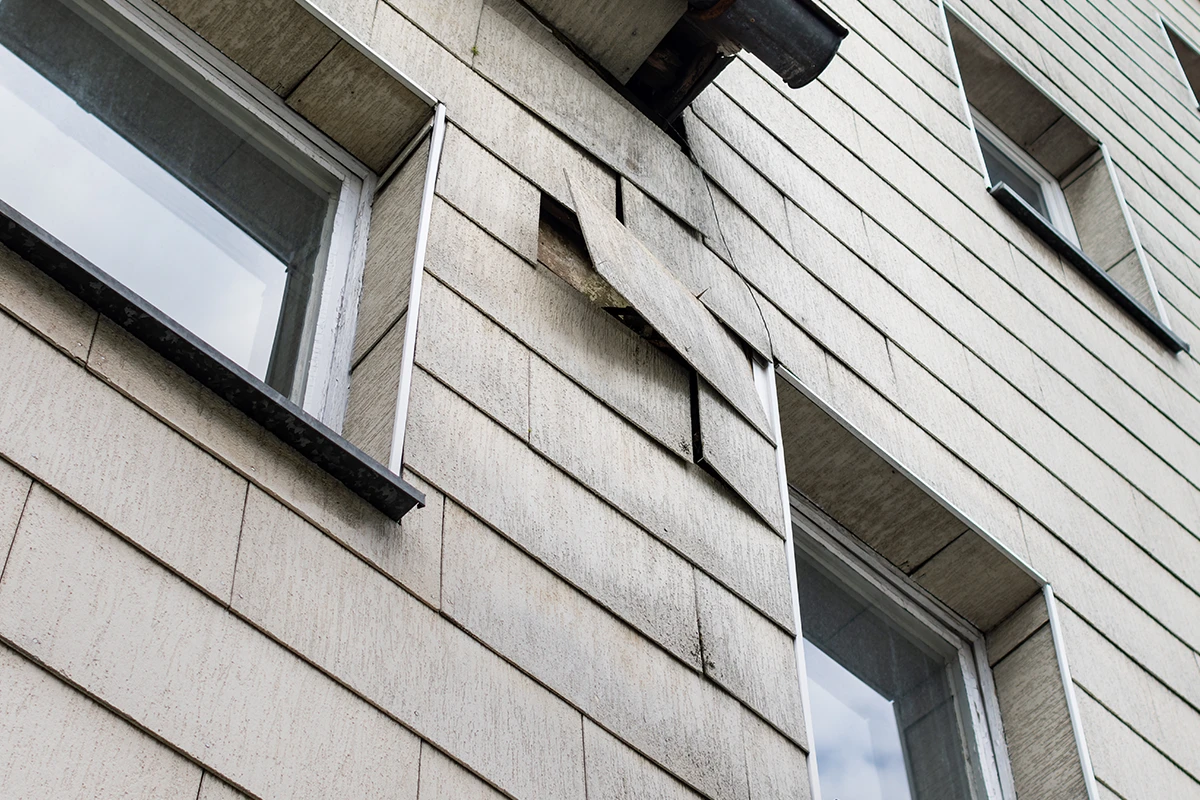 Ein Bild zur Veranschaulichung