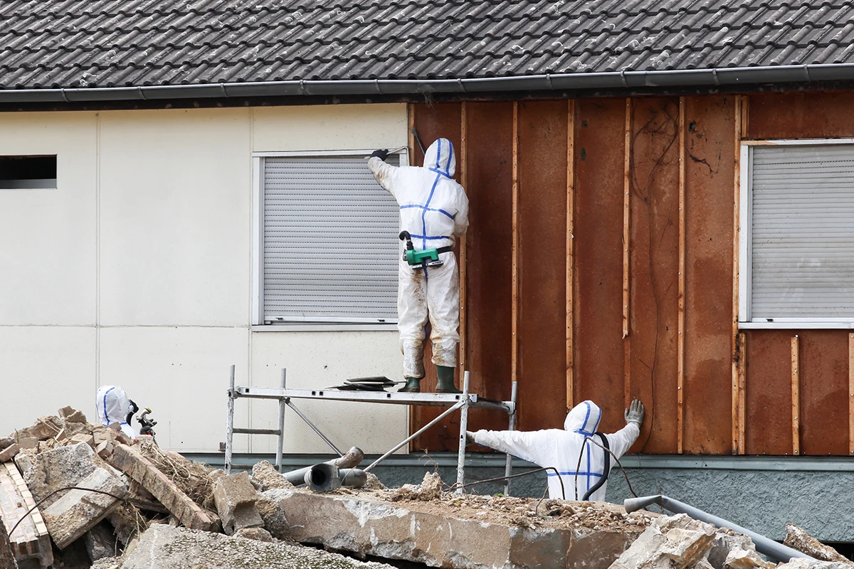 Ein Bild zur Veranschaulichung